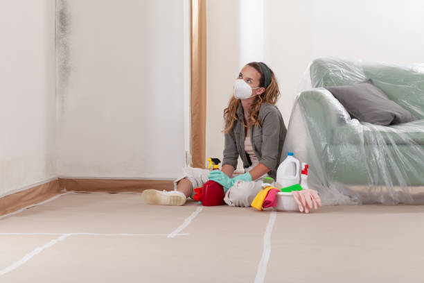 Reliable Mold Remediation contractor in Cedar Springs, MI by WQB Mold Removal